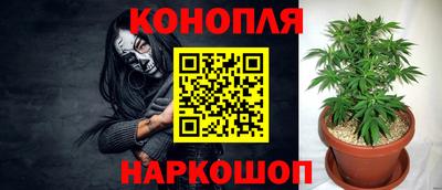 каннабис Канаш