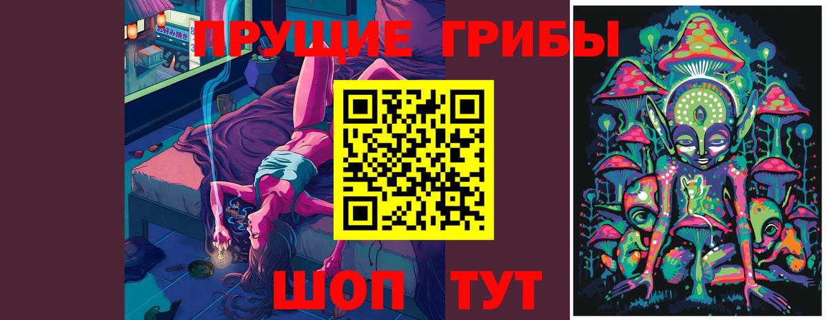 Псилоцибиновые грибы Psilocybe  Псилоцибиновые грибы мицелий  Владикавказ  Вход с VPN 